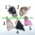 Achat Ásvány Szelet Medál Arany Színű Keretben (3) ~43-61x23-41x3-4mm