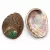 Abalone Paua (2) Kagyló Kagylóhéj White Sage Palo Santo Fehér Zsálya Szent Fa Égető ~88-94x64-68x20mm