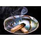 Abalone Paua (2) Kagyló Kagylóhéj White Sage Palo Santo Fehér Zsálya Szent Fa Égető ~88-94x64-68x20mm