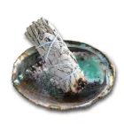 Abalone Paua (2) Kagyló Kagylóhéj White Sage Palo Santo Fehér Zsálya Szent Fa Égető ~88-94x64-68x20mm