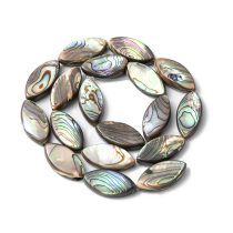 Abalone Paua Kagyló (3) Gyöngy 23x11x4-5mm