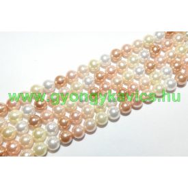 Arany Színes (2) Kagyló Gyöngy 8mm