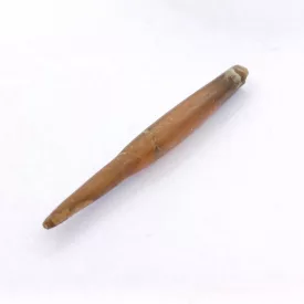   Belemnitesz Belemnite (Tintahal Távoli Rokona) Fosszília ~34-44mm Northampton Anglia