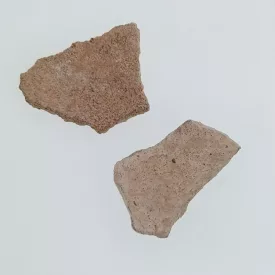   Dinoszaurusz Tojáshéj Fosszília ~22-26x34-36x6-7mm Kína, Késő Kréta kor