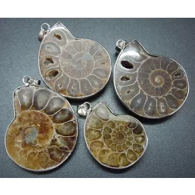   Fosszilis Ammolit Csiga Medál Ezüst Színű Keretben 35-50x25-35mm
