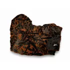 Megkövesedett Ginkgoites Sp. Baiera Levél Lenyomat Fosszília Kőzetben (6) ~115x130x20mm Pécs Magyarország Jura Kor