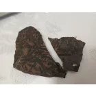 Megkövesedett Ginkgoites Sp. Baiera Levél Lenyomat Fosszília Kőzetben (6) ~115x130x20mm Pécs Magyarország Jura Kor