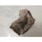 Megkövesedett Ginkgoites Sp. Baiera Levél Lenyomat Fosszília Kőzetben (6) ~115x130x20mm Pécs Magyarország Jura Kor