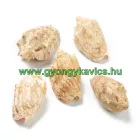 Kagyló (3) Kagylóhély 62-69x34-37x29-32mm