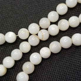 Fehér Kagyló Gyöngy 6mm