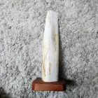 Megkövesedett Fa Fosszília Fa Talapzaton ~270x60mm Bali, Indonézia