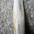 Megkövesedett Fa Fosszília Fa Talapzaton ~270x60mm Bali, Indonézia