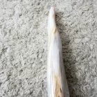 Megkövesedett Fa Fosszília Fa Talapzaton ~270x60mm Bali, Indonézia