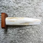 Megkövesedett Fa Fosszília Fa Talapzaton ~270x60mm Bali, Indonézia