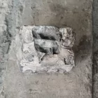 Megkövesedett Mamutfog Fosszília 