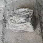 Megkövesedett Mamutfog Fosszília 