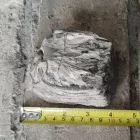 Megkövesedett Mamutfog Fosszília 