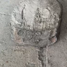 Megkövesedett Mamutfog Fosszília 