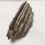 Megkövesedett Mamutfog Fosszília ~106x66x48mm