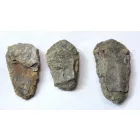 Megkövesedett Trilobita Háromkaréjú Ősrák Fosszília ~73-101x50-58x20-32mm Marokkó, Devon Kor