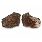 Megkövesedett Páfránylevél Lenyomat Fosszília Egész Kőzetben (1) ~160x130x40mm Pécs Magyarország Jura Kor