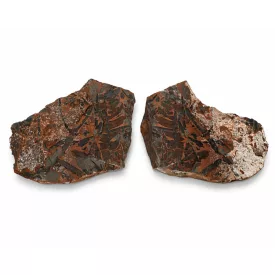   Megkövesedett Páfránylevél Lenyomat Fosszília Egész Kőzetben (1) ~160x130x40mm Pécs Magyarország Jura Kor