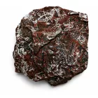 Megkövesedett Páfránylevél Lenyomat Fosszília Kőzetben (10) ~150x160x40mm Pécs Magyarország Jura Kor