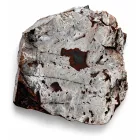 Megkövesedett Páfránylevél Lenyomat Fosszília Kőzetben (10) ~150x160x40mm Pécs Magyarország Jura Kor