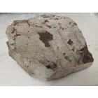 Megkövesedett Páfránylevél Lenyomat Fosszília Kőzetben (10) ~150x160x40mm Pécs Magyarország Jura Kor