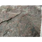 Megkövesedett Páfránylevél Lenyomat Fosszília Kőzetben (10) ~150x160x40mm Pécs Magyarország Jura Kor