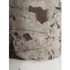 Megkövesedett Páfránylevél Lenyomat Fosszília Kőzetben (10) ~150x160x40mm Pécs Magyarország Jura Kor