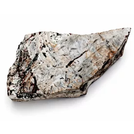   Megkövesedett Páfránylevél Lenyomat Fosszília Kőzetben (11) ~220x100x40mm Pécs Magyarország Jura Kor