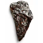 Megkövesedett Páfránylevél Lenyomat Fosszília Kőzetben (11) ~220x100x40mm Pécs Magyarország Jura Kor