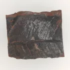 Megkövesedett Páfránylevél Lenyomat Fosszília Kőzetben (13) ~45x34x20mm Pécs Magyarország Jura Kor