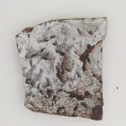 Megkövesedett Páfránylevél Lenyomat Fosszília Kőzetben (15) ~70x56x7mm Pécs Magyarország Jura Kor