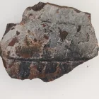 Megkövesedett Páfránylevél Lenyomat Fosszília Kőzetben (17) ~90x72x12mm Pécs Magyarország Jura Kor