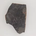 Megkövesedett Páfránylevél Lenyomat Fosszília Kőzetben (18) ~78x55x12mm Pécs Magyarország Jura Kor