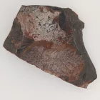 Megkövesedett Páfránylevél Lenyomat Fosszília Kőzetben (18) ~78x55x12mm Pécs Magyarország Jura Kor