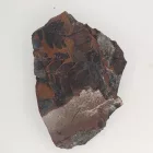 Megkövesedett Páfránylevél Lenyomat Fosszília Kőzetben (19) ~66x45x16mm Pécs Magyarország Jura Kor