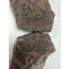 Megkövesedett Páfránylevél Lenyomat Fosszília Egész Kőzetben (1) ~160x130x40mm Pécs Magyarország Jura Kor