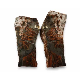   Megkövesedett Páfránylevél Lenyomat Fosszília Egész Kőzetben (2) ~190x90x40mm Pécs Magyarország Jura Kor