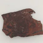 Megkövesedett Páfránylevél Lenyomat Fosszília Kőzetben (21) ~70x50x5mm Pécs Magyarország Jura Kor