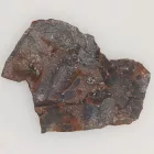 Megkövesedett Páfránylevél Lenyomat Fosszília Kőzetben (26) ~91x70x7mm Pécs Magyarország Jura Kor