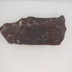 Megkövesedett Páfránylevél Lenyomat Fosszília Kőzetben (27) ~124x53x10mm Pécs Magyarország Jura Kor