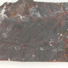 Megkövesedett Páfránylevél Lenyomat Fosszília Kőzetben (27) ~124x53x10mm Pécs Magyarország Jura Kor