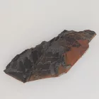 Megkövesedett Páfránylevél Lenyomat Fosszília Kőzetben (28) ~105x42x11mm Pécs Magyarország Jura Kor