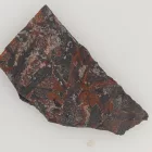 Megkövesedett Páfránylevél Lenyomat Fosszília Kőzetben (29) ~56x30x5mm Pécs Magyarország Jura Kor