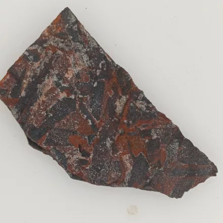 Megkövesedett Páfránylevél Lenyomat Fosszília Kőzetben (29) ~56x30x5mm Pécs Magyarország Jura Kor