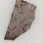 Megkövesedett Páfránylevél Lenyomat Fosszília Kőzetben (29) ~56x30x5mm Pécs Magyarország Jura Kor