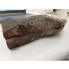 Megkövesedett Páfránylevél Lenyomat Fosszília Egész Kőzetben (2) ~190x90x40mm Pécs Magyarország Jura Kor